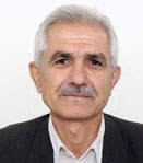 حسین محمدیان