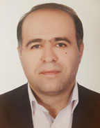 محمدرضا میرزایی